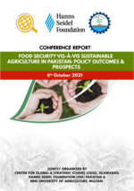 Food Security vis-à-vis Sustainable Agriculture in Pakistan: Policy Outcomes and Prospects